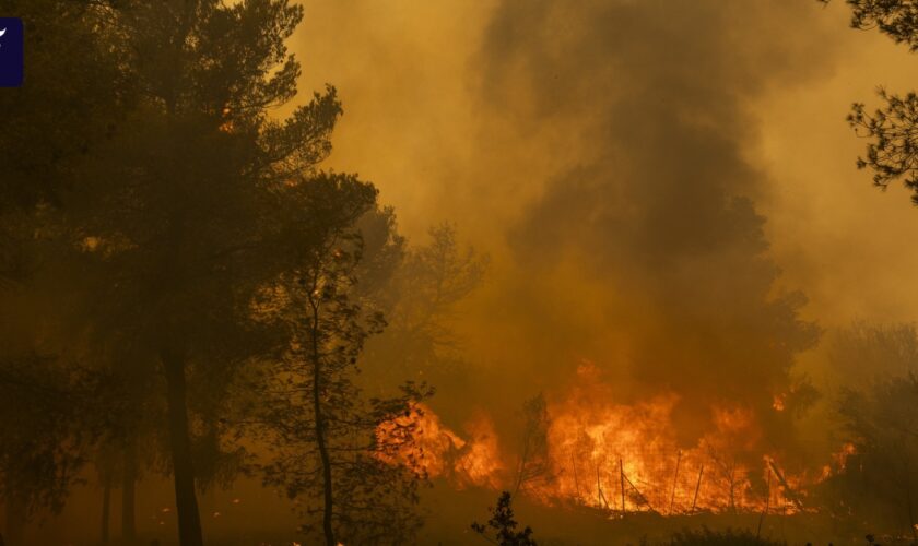 Griechenland: Fortschritte im Kampf gegen Waldbrand nahe Athen