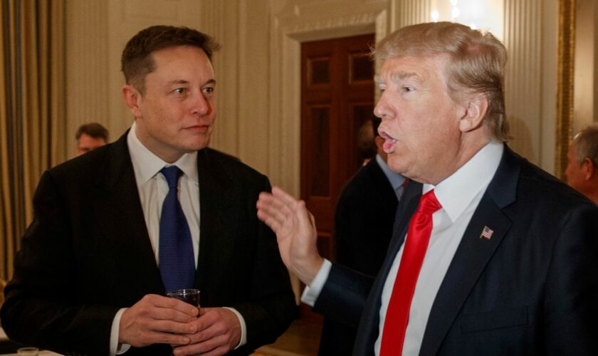 Donald Trump talks to Elon Musk at the White House in 2017. Pic: AP