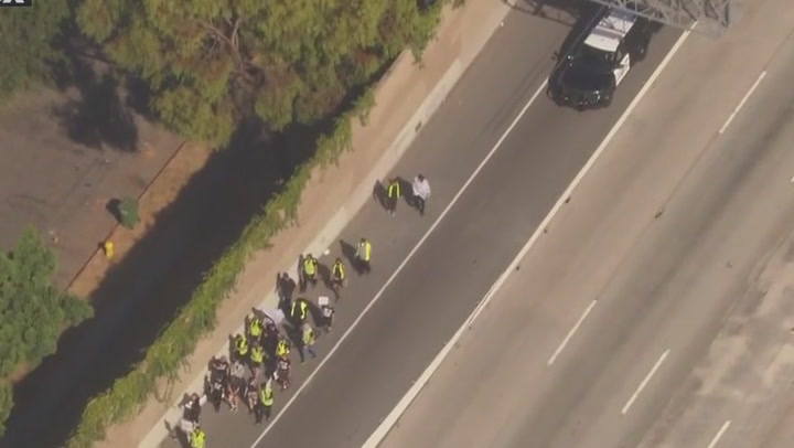 405 Freeway slowdown amid protest