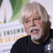 Paul Watson, fondateur de Sea Shepherd, maintenu en détention au Groenland