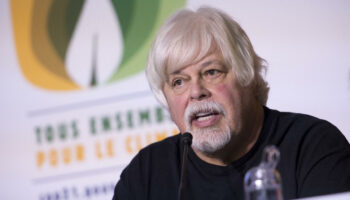 Paul Watson, fondateur de Sea Shepherd, maintenu en détention au Groenland