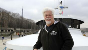 Le militant écologiste Paul Watson devant un juge ce jeudi pour statuer sur sa détention