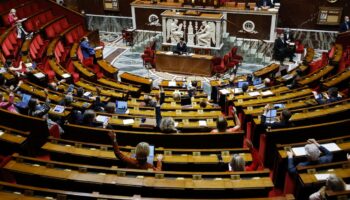 L'Assemblée lors de l'adoption du budget 2021, le 17 décembre 2020 à Paris