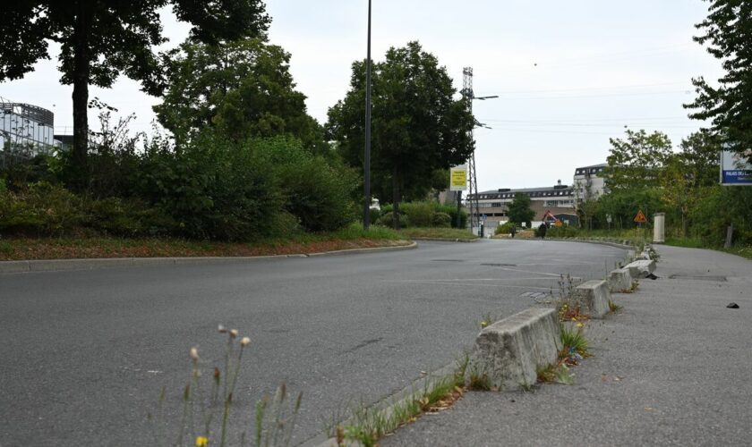 À 9 000 km de chez lui, une mule meurt en pleine rue à Grigny : il avait ingéré plus d’un kilo de cocaïne