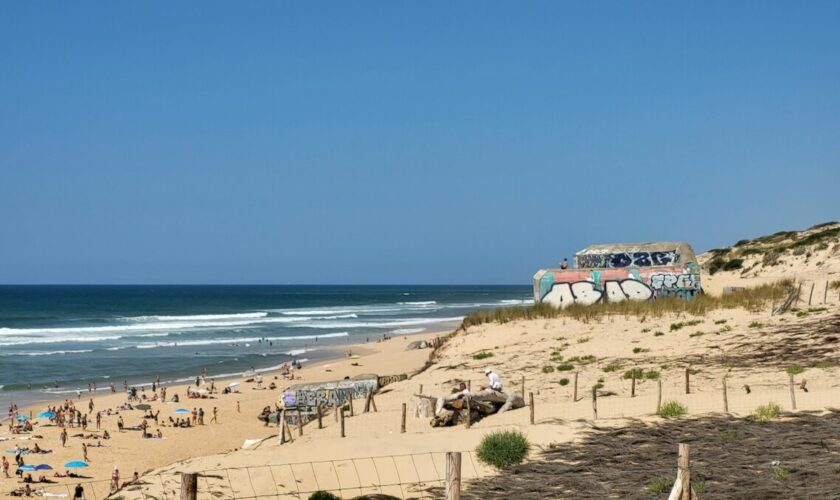 « À terme, la moitié de Lège-Cap-Ferret va disparaître » : la Gironde durement touchée par l’érosion cet hiver