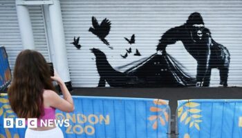 Banksy's latest work appears on London Zoo gates