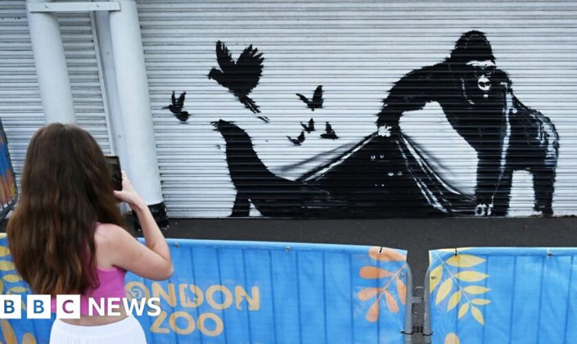 Banksy's latest work appears on London Zoo gates