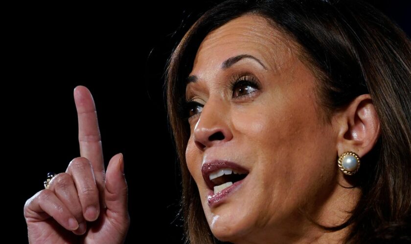 Bericht aus Washington: Was Kamala Harris' Vize mitbringen muss