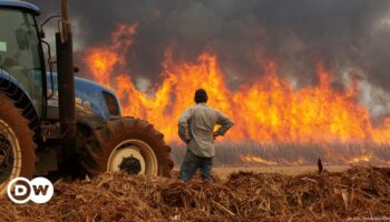 Brazil wildfires made worse by drought, extreme heat