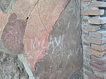 British tourist scrawls his and his two daughters' initials on wall of Pompeii's world heritage site House of the Vestal Virgins fresco - and is ordered to pay for restoration work