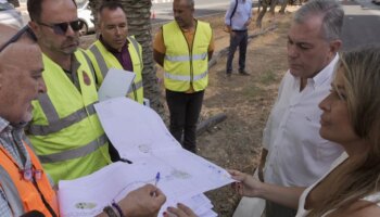 El Ayuntamiento renueva el sistema de riego en tres grandes avenidas de Sevilla Este