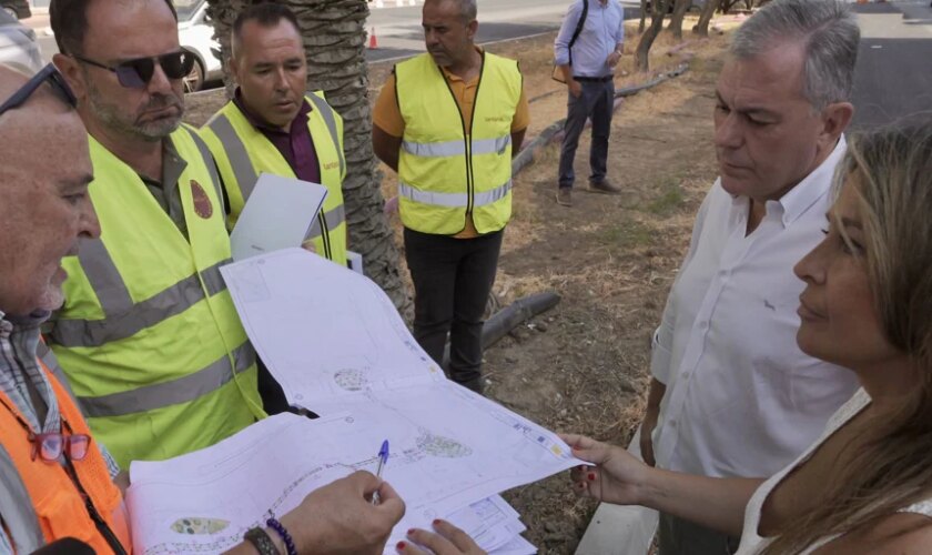 El Ayuntamiento renueva el sistema de riego en tres grandes avenidas de Sevilla Este