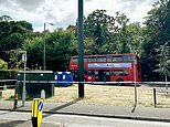 Girl, 9, is fighting for her life after London bus slams into her and her five-year-old brother - as 'drug-driver' is arrested