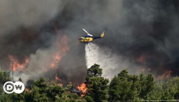 Half of Greece on red alert as wildfires rage near Athens