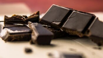 Il y a des métaux lourds dans votre chocolat noir (surtout le bio)