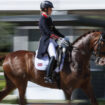 Jeux olympiques: combien de fois en une minute est-il acceptable de fouetter un cheval?