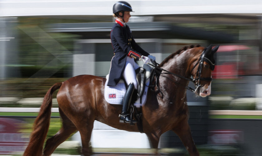 Jeux olympiques: combien de fois en une minute est-il acceptable de fouetter un cheval?