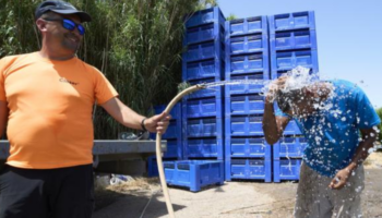 Las cumbres y el sur de Gran Canaria superarán temperaturas de hasta 37ºC