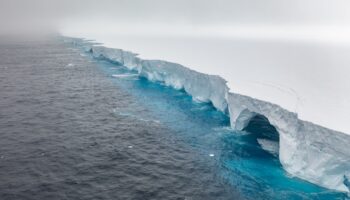 Le plus grand iceberg du monde est coincé depuis des mois par des courants marins