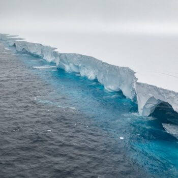 Le plus grand iceberg du monde est coincé depuis des mois par des courants marins