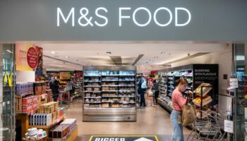 M&S fans 'can't resist' brand new chocolate treat - and beg for it to be permanent