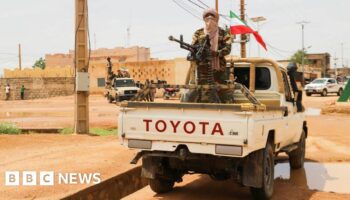 Mali cuts diplomatic ties with Ukraine over Wagner ambush claims