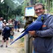 Maltraitance animale : après des années de turbulences, la renaissance du parc animalier de Pont-Scorff en Bretagne