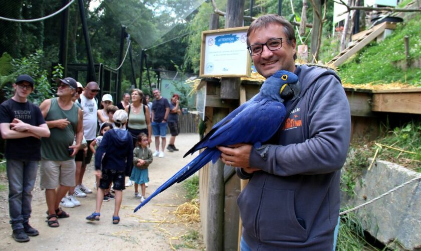 Maltraitance animale : après des années de turbulences, la renaissance du parc animalier de Pont-Scorff en Bretagne