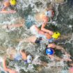 Olympics: Triathletes fall sick after swimming in Seine