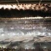 Olympics closing ceremony: Golden 'bee-man' joins floating PIANIST and 'toilet roll mummies' with rocker crowd surfing above athletes during wacky performance ahead of show stoppers by Tom Cruise and Billie Eilish