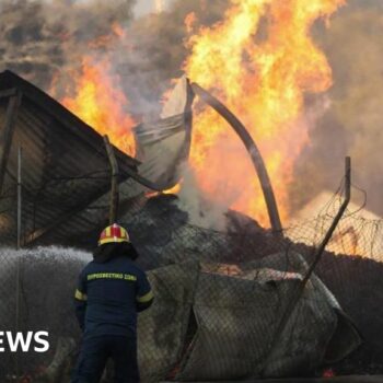 One dead as wildfires rage across Athens suburbs