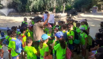 Planes con niños en Sevilla en septiembre: aventuras perfectas para disfrutar en familia