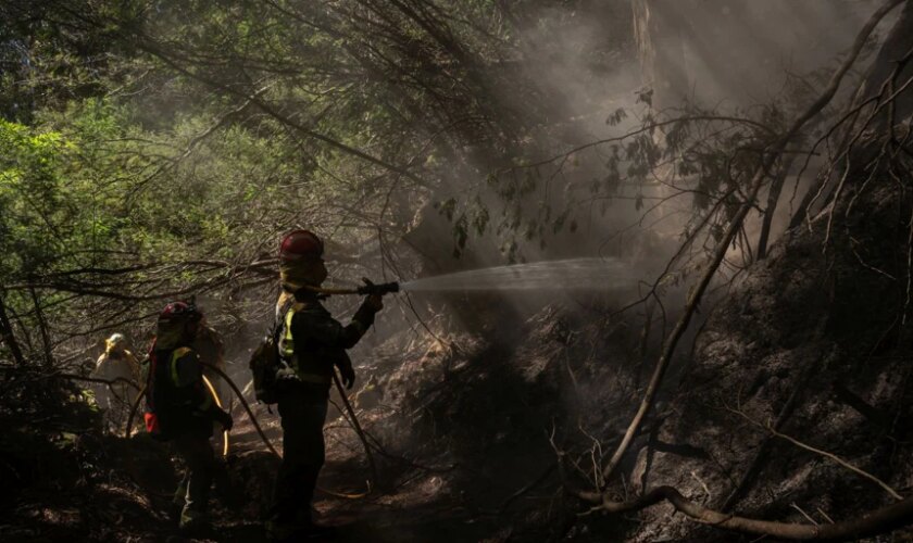 Remite la ola de calor con la mitad de Galicia en 'alerta alta' por riesgo de incendios