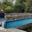 Should landmark love lock bridge be preserved?