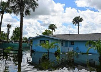 Starke Überschwemmungen erwartet: Hurrikan »Debby« zieht auf Florida zu