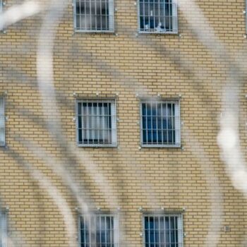 In der JVA Hannover leben künftig Bienen. (Symbolbild) Foto: Peter Steffen/dpa