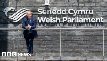 Tory blasts Senedd leader's abolish stunt