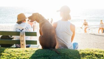 Tous les chiens ne sont pas égaux devant les coups de soleil