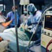 Un homme de 58 ans survit grâce à la transplantation d'un coeur en métal