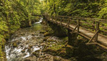 Voyage en Croatie &nbsp;: immersion aux cœur des parcs nationaux