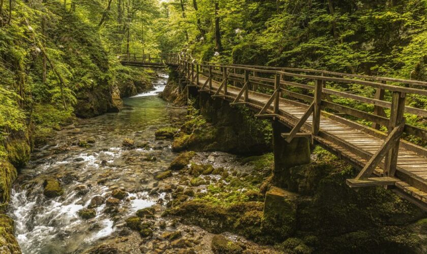 Voyage en Croatie &nbsp;: immersion aux cœur des parcs nationaux