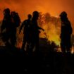 Wildfires in Greece: Blazes in front of the gates of Athens