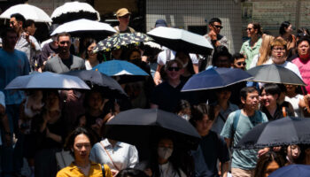 Comme en 2023, l’été 2024 au Japon a été le plus chaud jamais enregistré