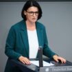 Grünen-Politikerin – Zurückweisungen an Grenze sind nicht zulässig