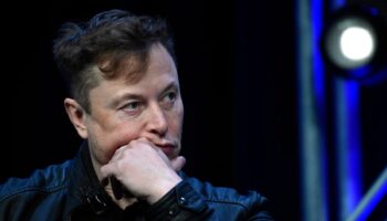 What is the sexist theory shared by Elon Musk for a republic of ‘high-status males’