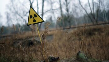 Atomkraft: Ukrainische Behörden melden Brand rund um Tschernobyl