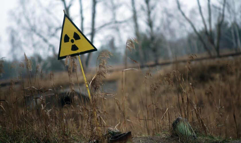 Atomkraft: Ukrainische Behörden melden Brand rund um Tschernobyl