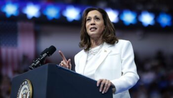 Political analyst warns Harris could lose key battleground state: 'Almost certainly not going to win' without