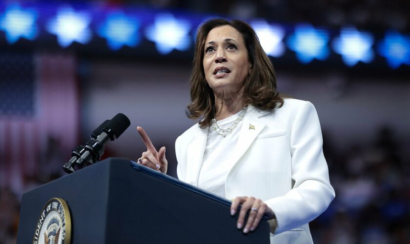 Political analyst warns Harris could lose key battleground state: 'Almost certainly not going to win' without