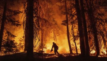 USA: Hunderte fliehen vor Waldbrand in Nordkalifornien